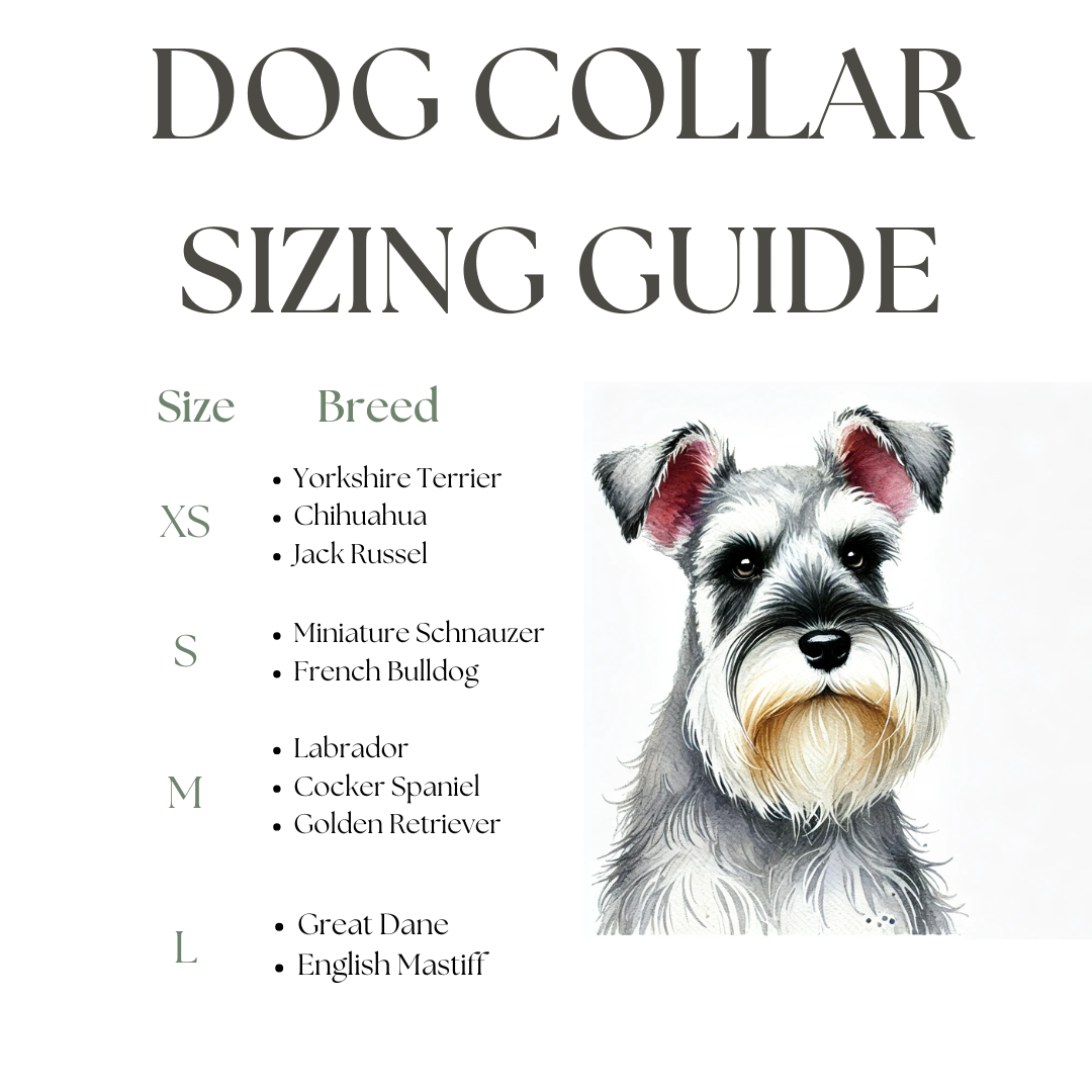 Handmade Dog Collars – Custom, Durable & Stylish Collars for All Dog Breeds