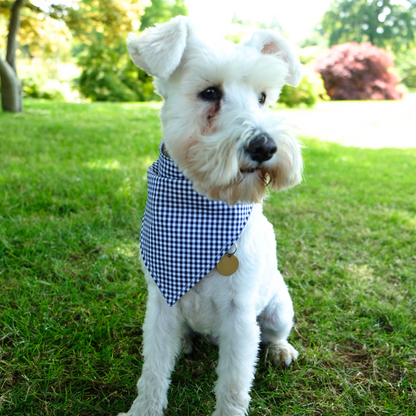 Handmade Dog Bandana – Breathable Cotton, Easy Attach Design | Stylish & Durable Pet Accessory in Vibrant Colours & Pattern