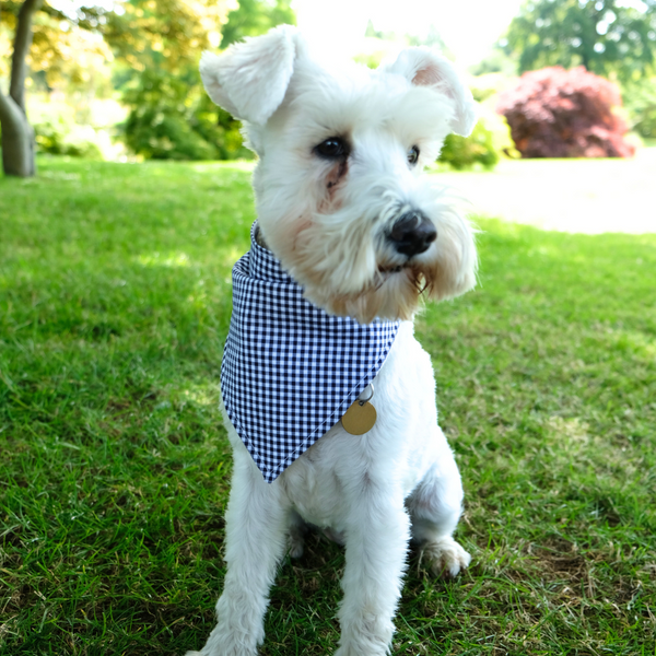 Dog Bandana