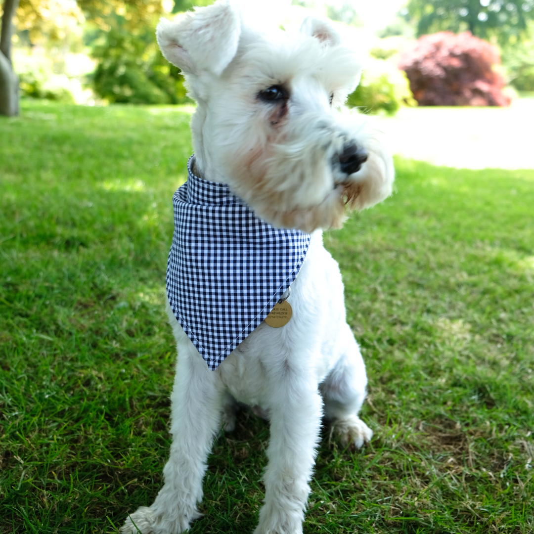 Dog Bandana