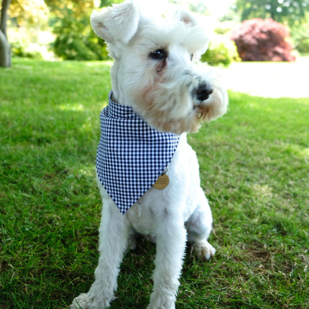 Handmade Dog Bandana – Breathable Cotton, Easy Attach Design | Stylish & Durable Pet Accessory in Vibrant Colours & Pattern