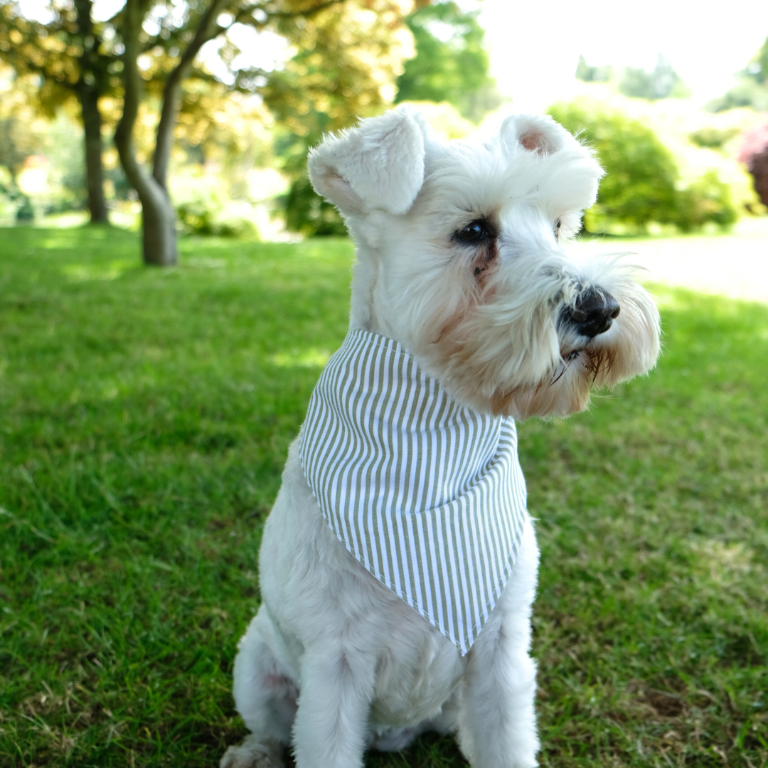 Handmade Dog Bandana – Breathable Cotton, Easy Attach Design | Stylish & Durable Pet Accessory in Vibrant Colours & Pattern