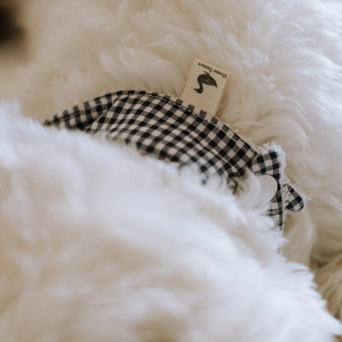 Dog Bandana
